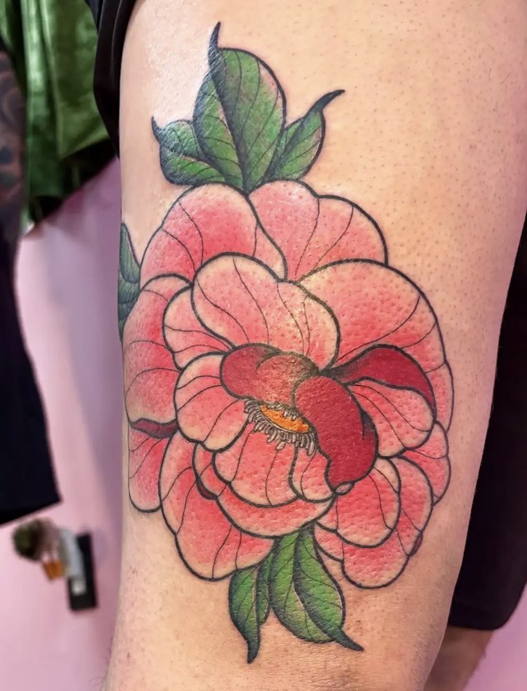 Coral peony in bloom with green leaves, Japanese style